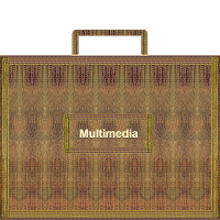 Multimedia (videos, music loops, Flash, graphics)